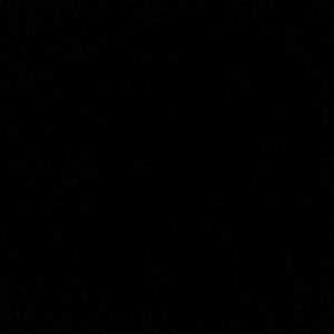 Meet your Posher, Lexi